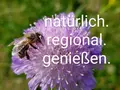 Imkerei Ch. Benker in Oberleichtersbach-Mitgenfeld Imkerei Ch. Benker in Oberleichtersbach-Mitgenfeld